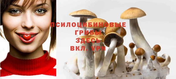 дмт Горно-Алтайск
