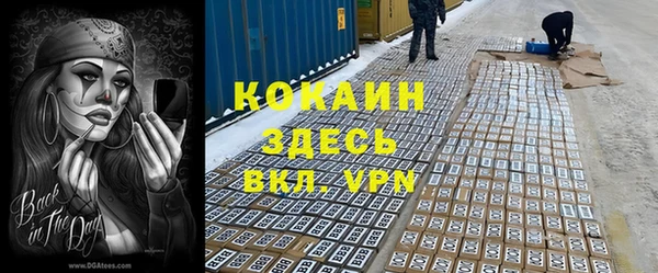 дмт Горно-Алтайск