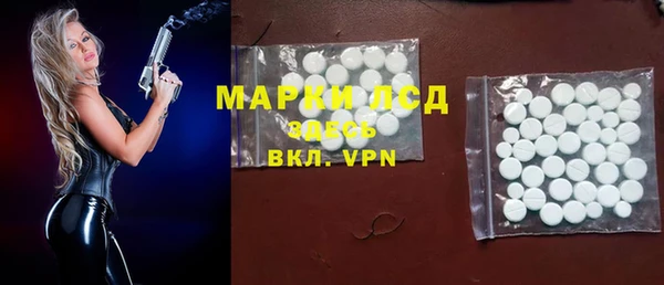 индика Горнозаводск
