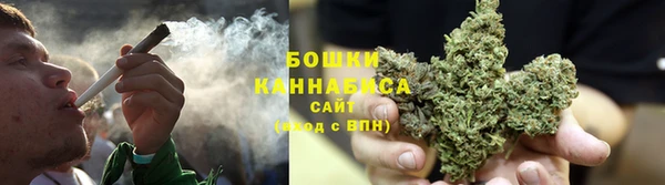 дурь Горняк