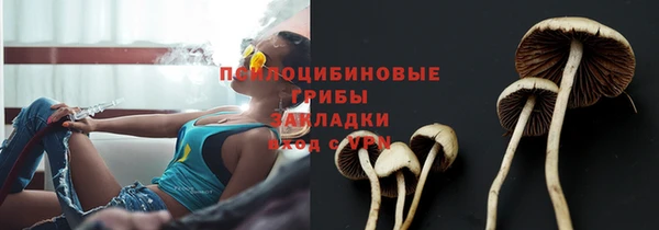 дурь Горняк