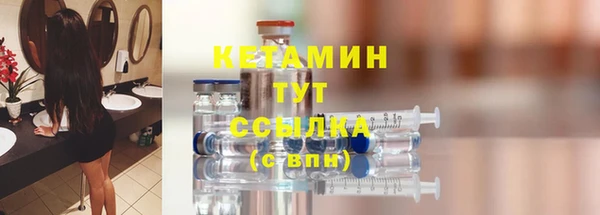 индика Горнозаводск