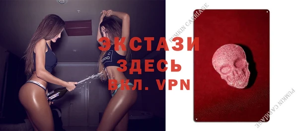 индика Горнозаводск