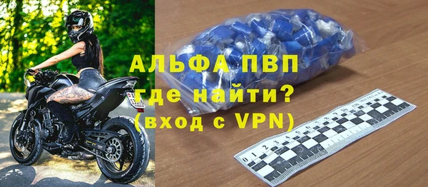 индика Горнозаводск