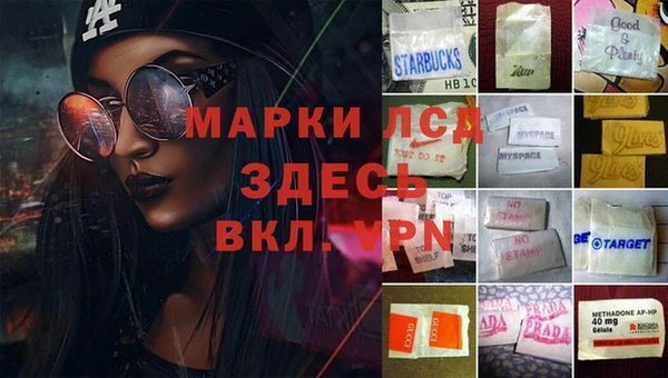 индика Горнозаводск