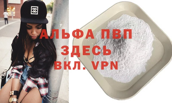 индика Горнозаводск