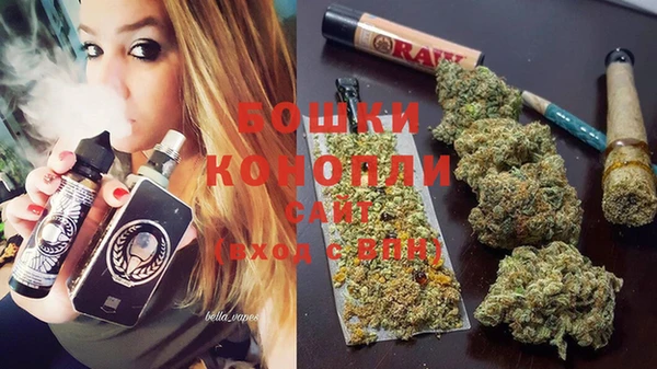 индика Горнозаводск