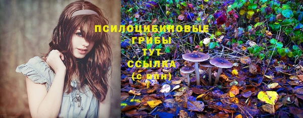 дмт Горно-Алтайск